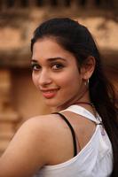Tamanna Latest Stills